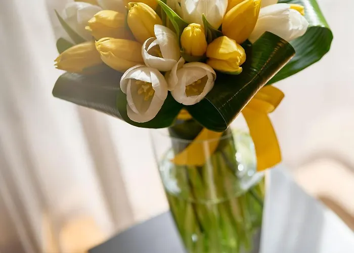 Urbanauts Beletages Sonata * Trieste